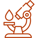 lab